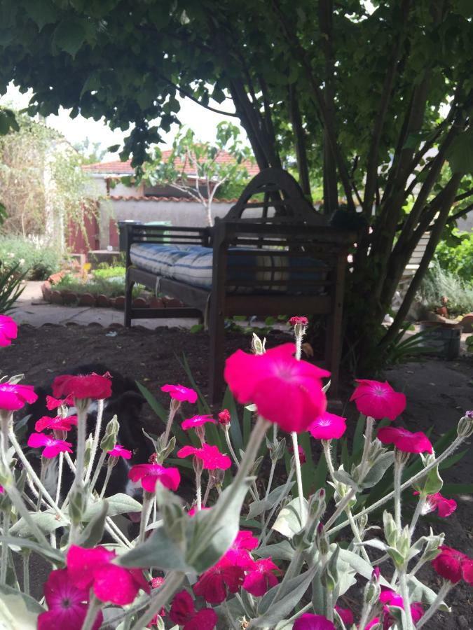 شقة Violette بوردو المظهر الخارجي الصورة